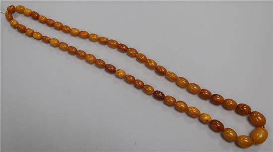 A single strand graduated oval amber bead necklace, gross 37 grams, 64cm.